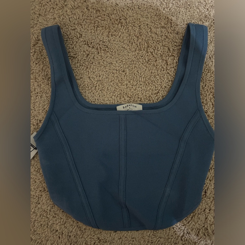 Aritzia Babaton Sculpt Knit Seamed top